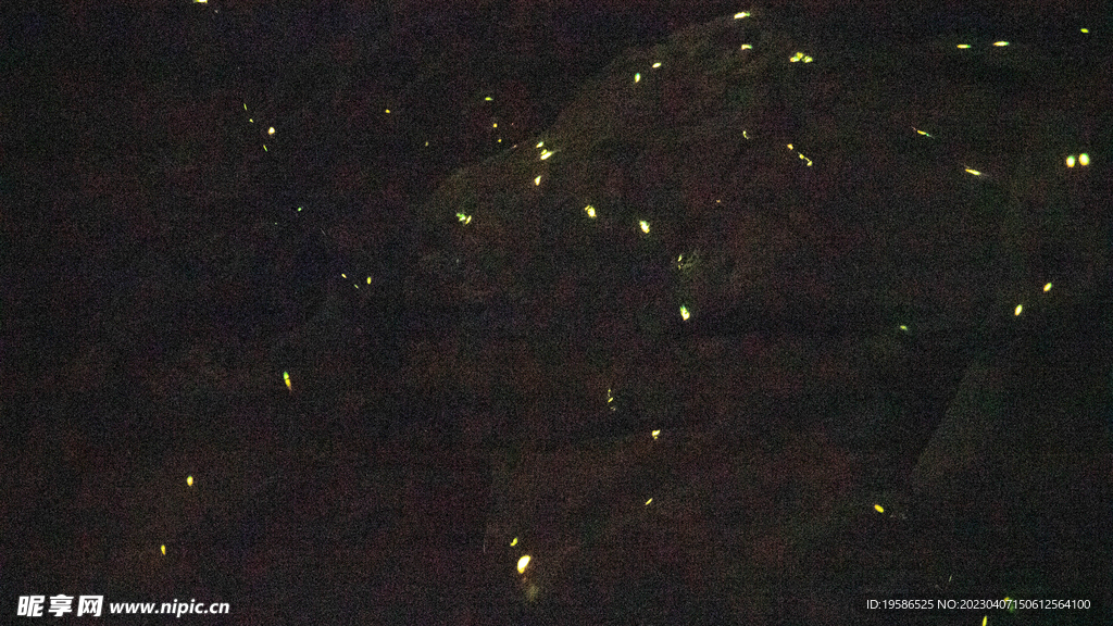 点点星光