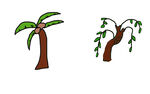 椰子树和柳树卡通