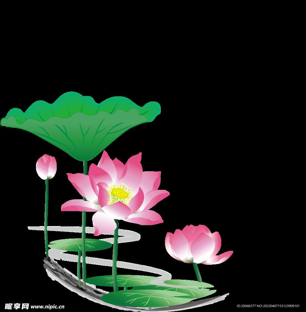 手绘中国风水墨边框花卉植物荷花