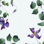 紫色花卉花草叶子水彩风格手绘