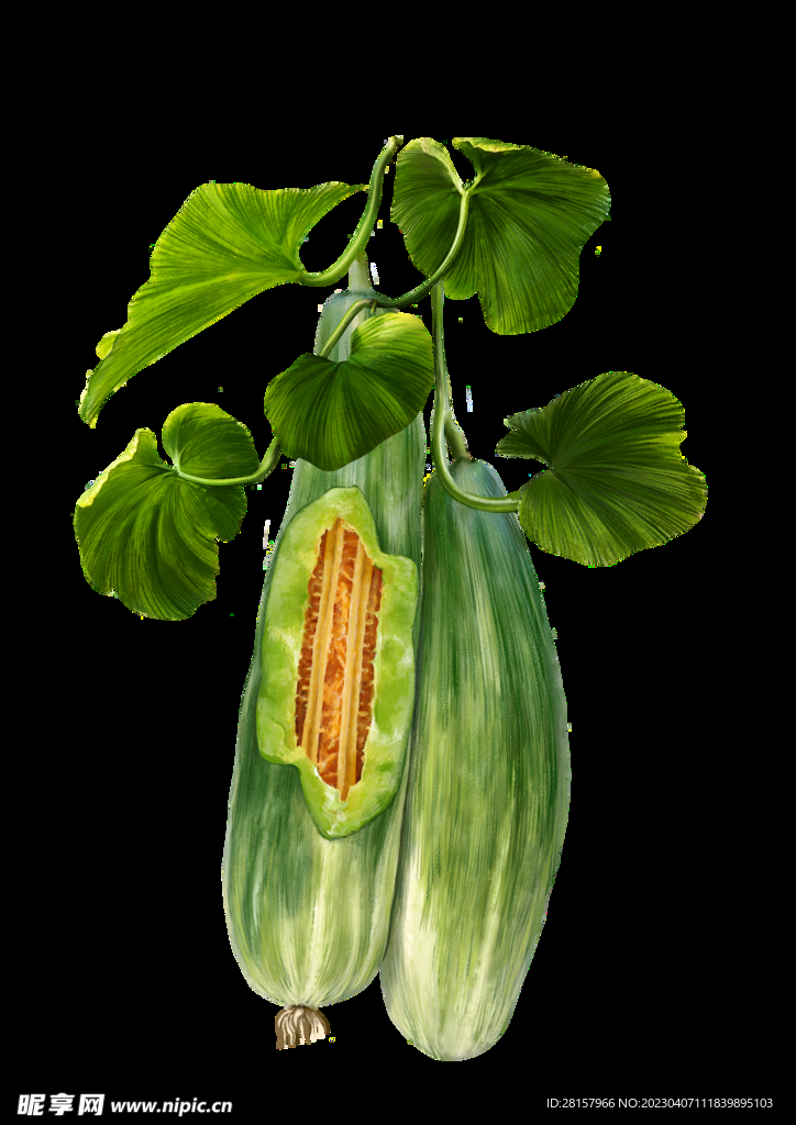 羊角蜜手绘