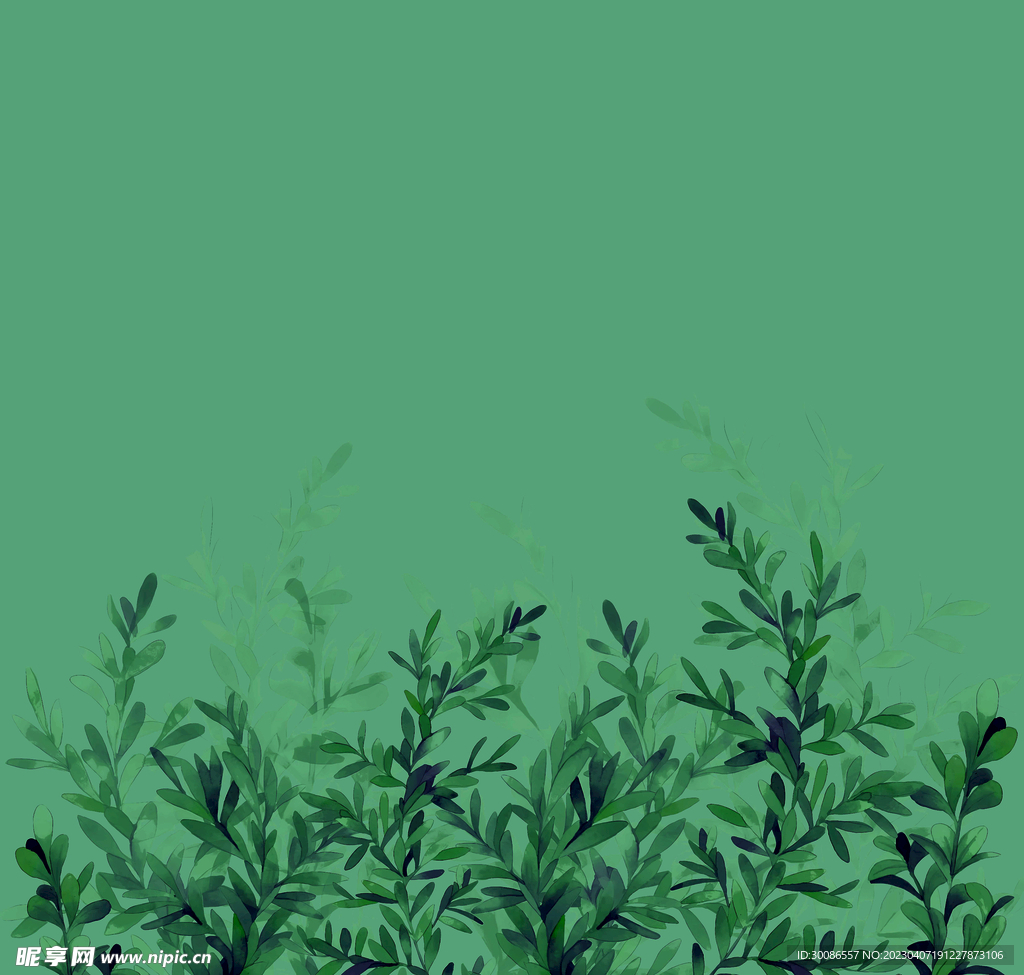 定位花