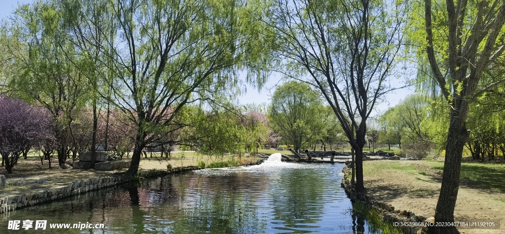 小溪风景图
