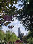 春天的景色    