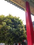 红色柱子