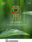 谷雨广告