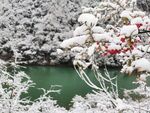 雪景美如画