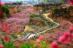 桃花源