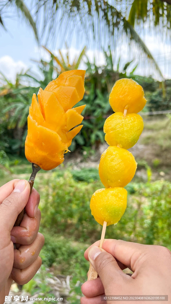 芒果