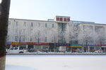 雪景
