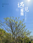 春