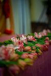 鲜花