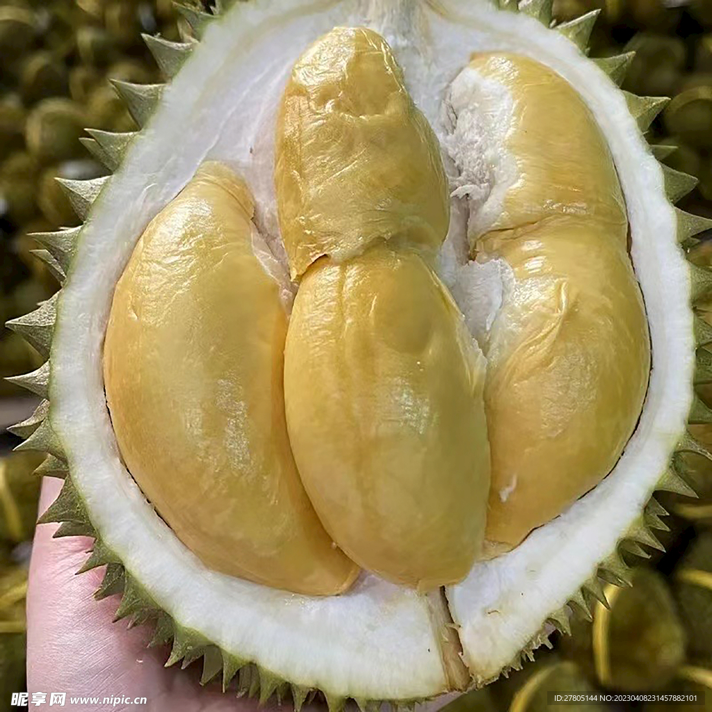 榴莲肉