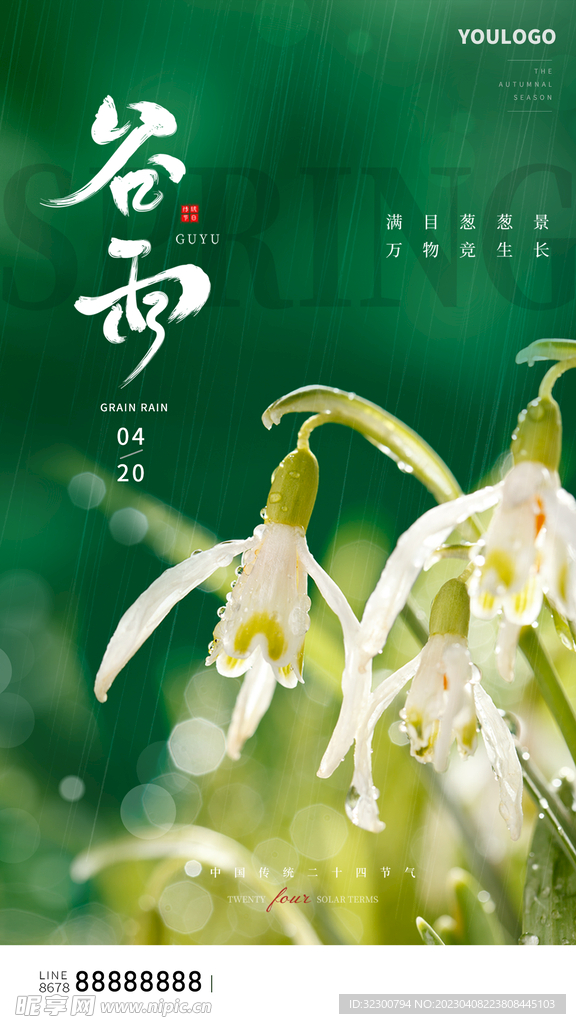 大气谷雨海报