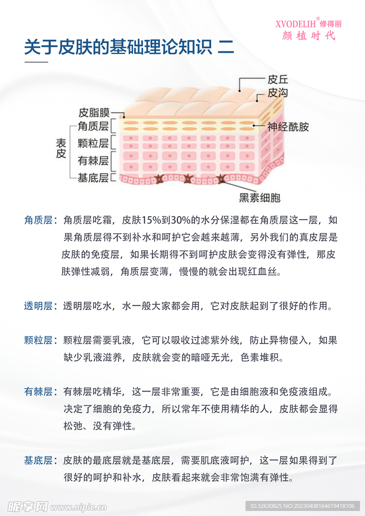 关于皮肤的基础知识 二