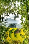 锦绣梯田