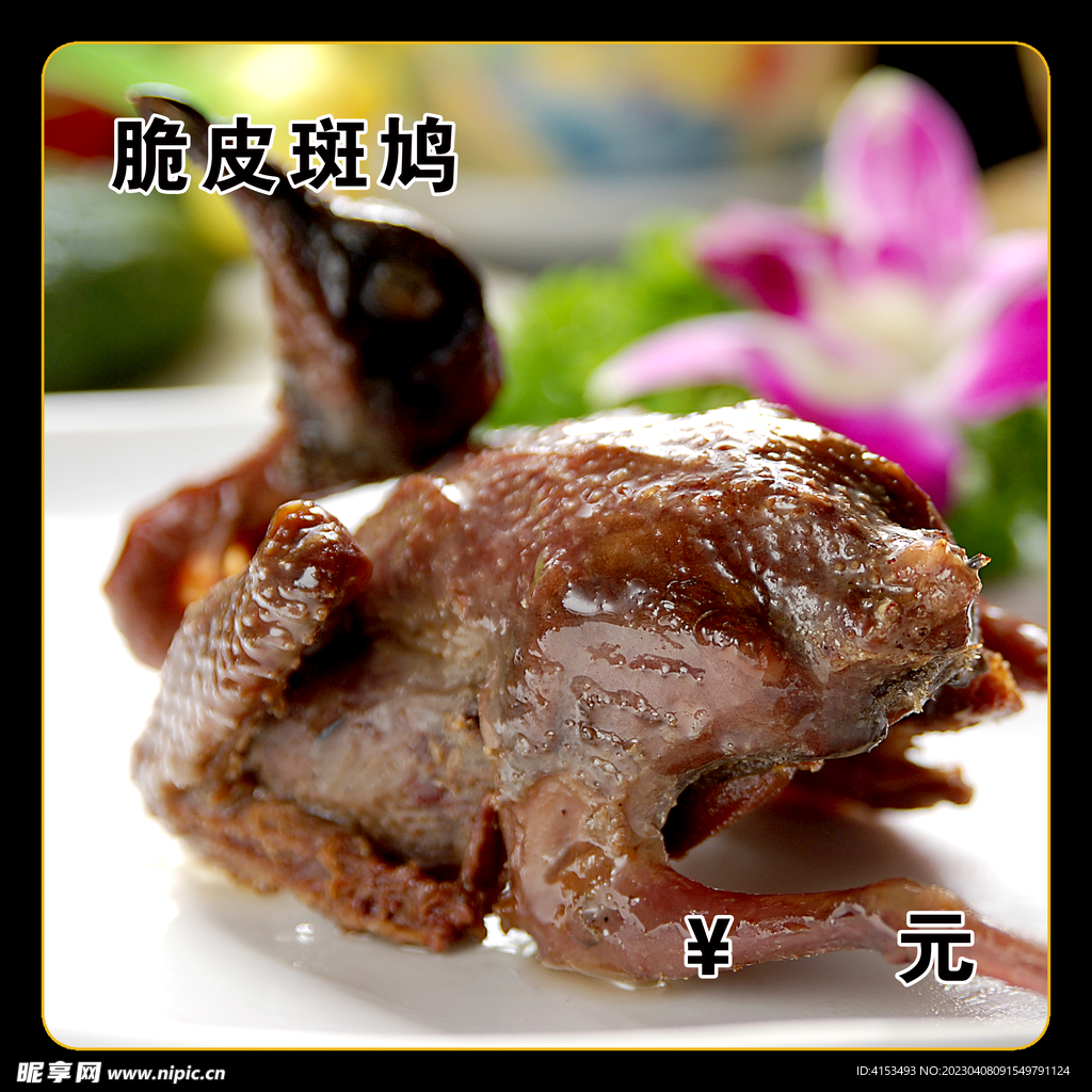 脆皮斑鸠