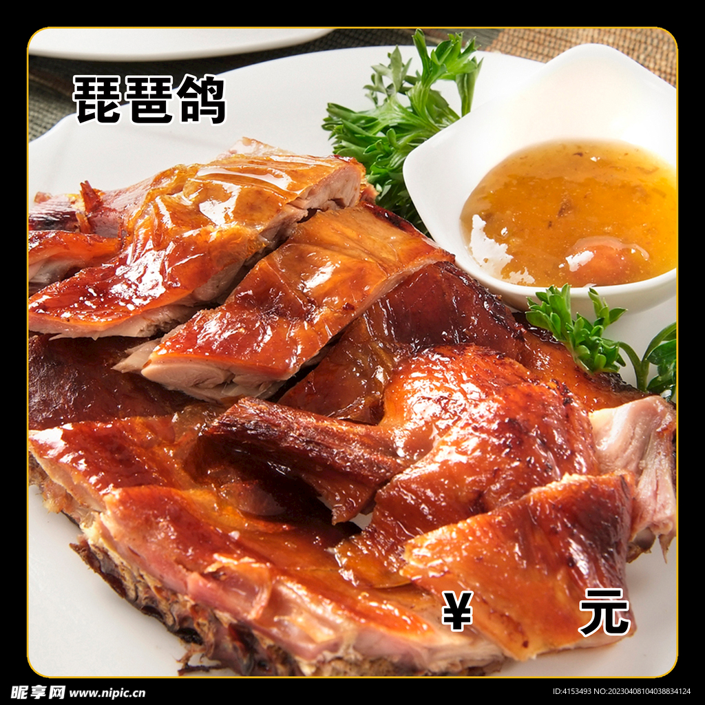 琵琶鸽
