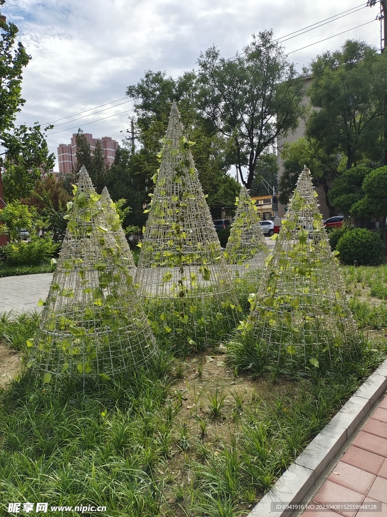 锥形花架