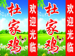 杜家鸡站牌灯箱