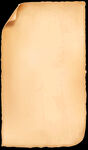 纸纹