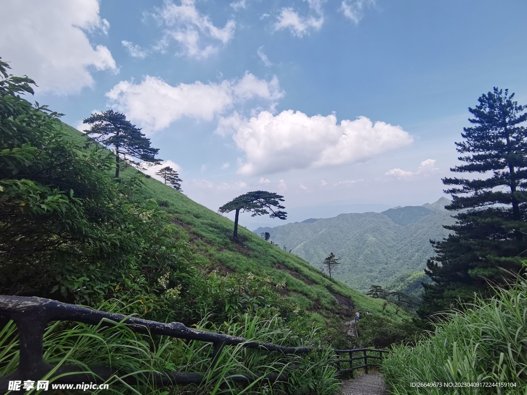 山顶风景  阶梯   山脉  