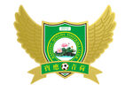 足球 队徽 徽章