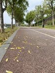 跑道风景