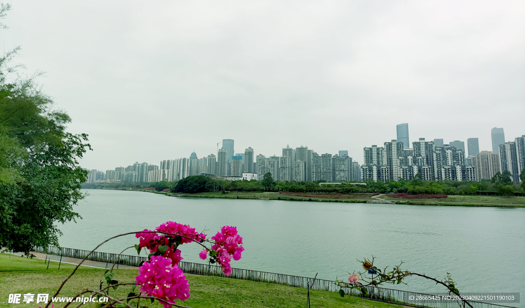 城市风景