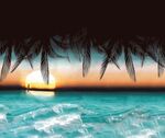 沙滩椰树海水水波纹