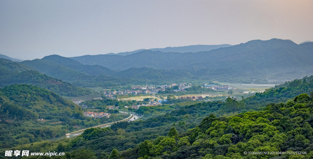 背阴村