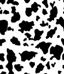 56color黑白奶牛