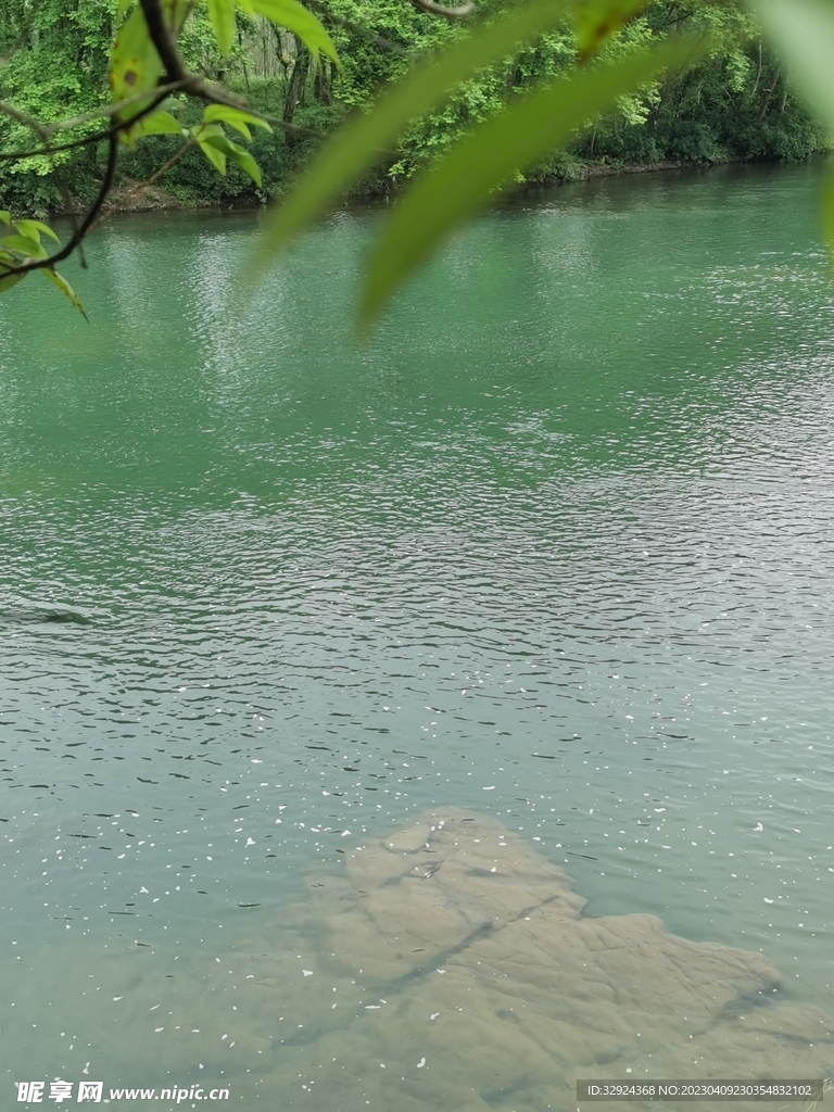 清澈水池