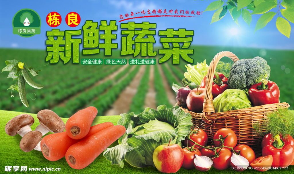 新鲜蔬菜海报