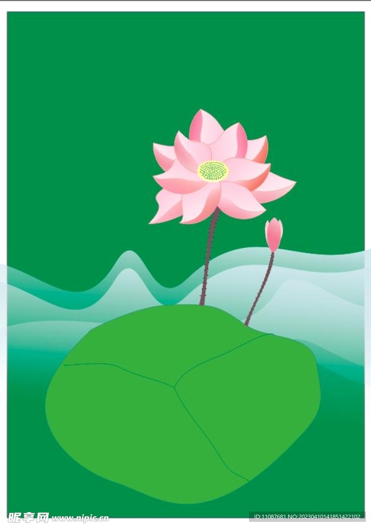荷花  