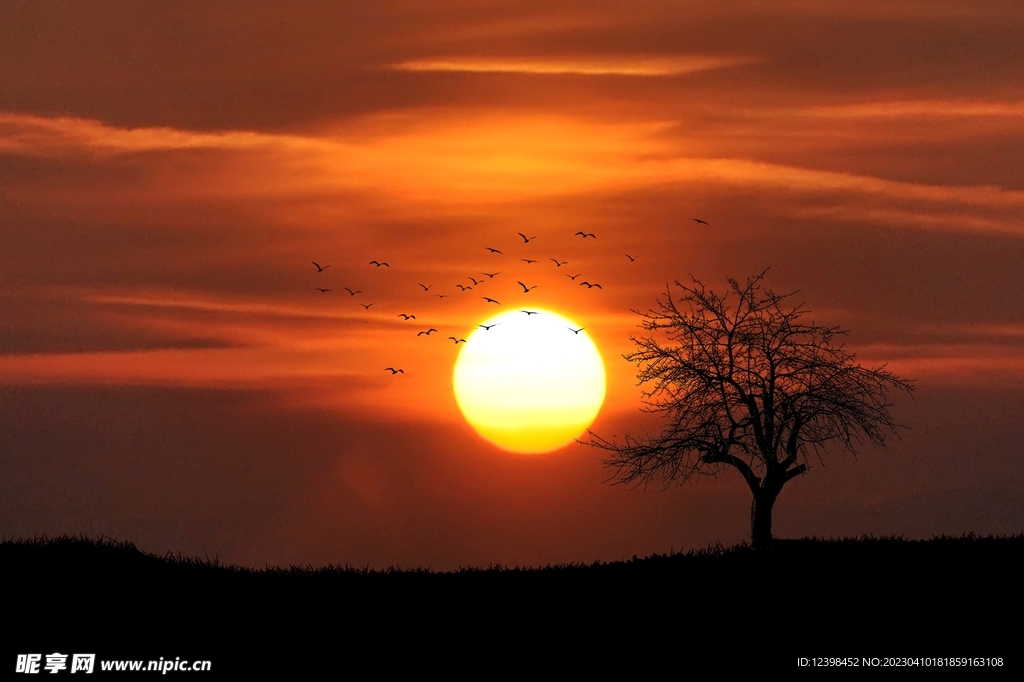 夕阳美景