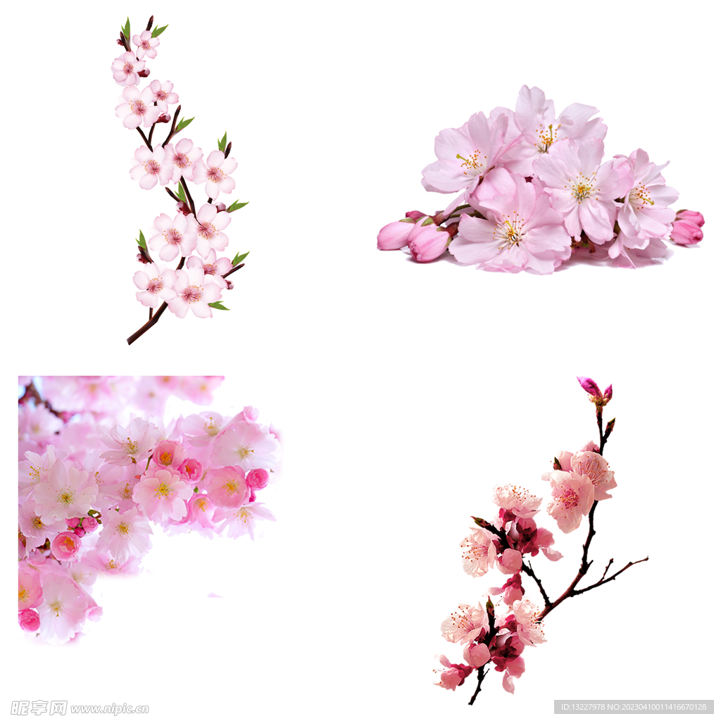 桃花 