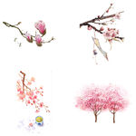 桃花