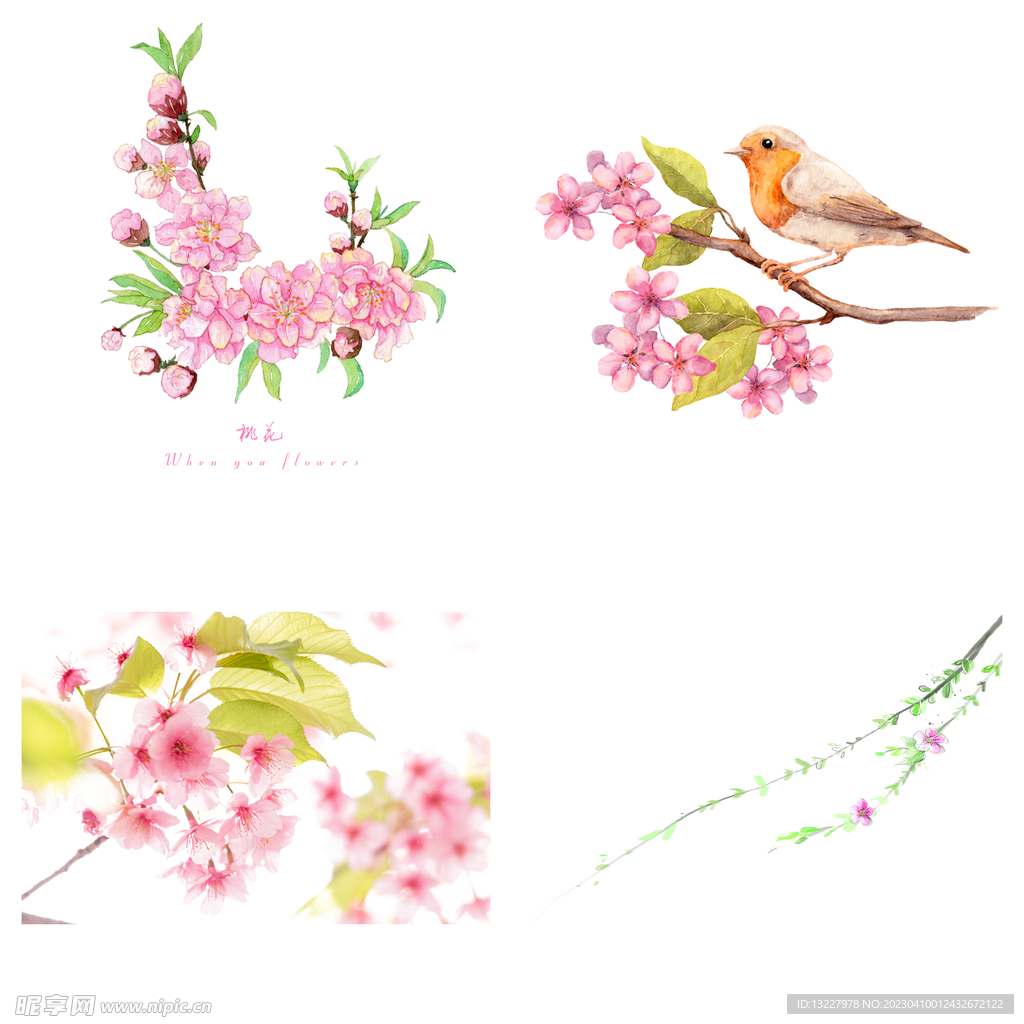 桃花