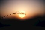 日落夕阳美图