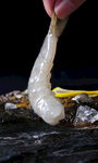 生虾