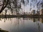 户外落日风景
