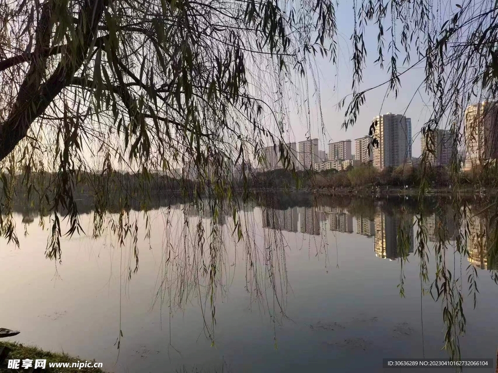 户外落日风景