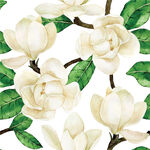 玉兰花图案