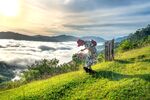 山中云海