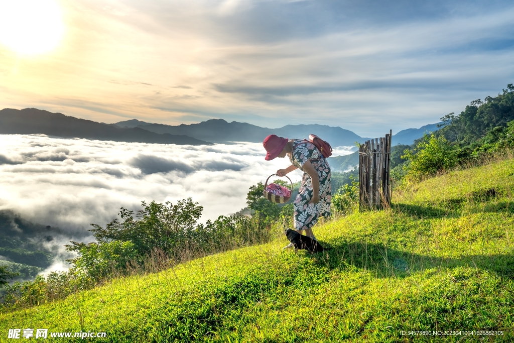 山中云海