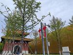 大报恩寺