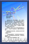 相框海报 