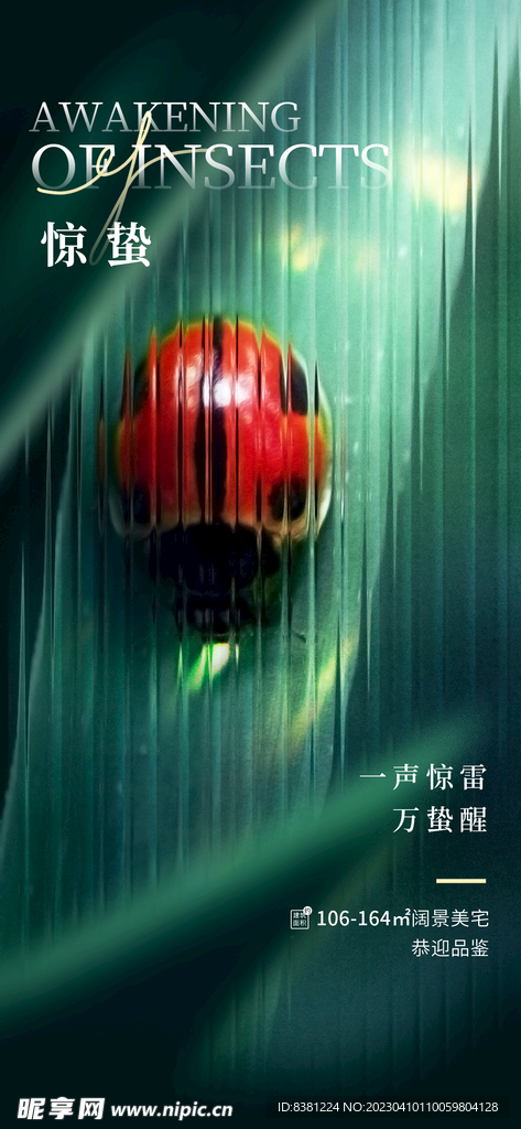 惊蛰节气海报
