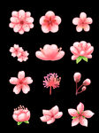 花朵 素材 